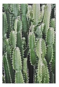 Quadro contemporaneo Giardino di cactus verticale