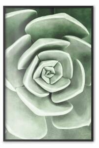 Poster: Bellissima pianta succulenta: composizione vegetale scandinava