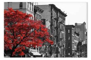 Quadro Contrasto urbano - foto architettura New York