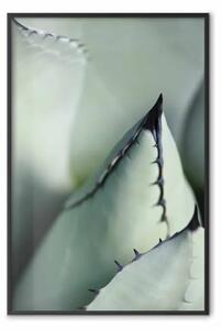 Poster: Spine verdi - una composizione di foglie succulente di colore verde