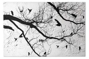 Quadro su tela Uccelli sull'albero - paesaggio nero su uno sfondo cementato