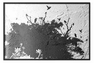 Poster: Ombra della natura - alberi e uccelli