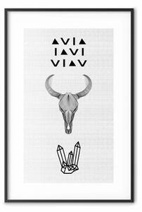 Poster: Cranio animale - iscrizioni e cristalli