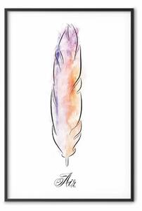 Poster: Piuma colorata - piuma su sfondo bianco