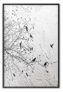 Poster: Uccelli su un albero - paesaggio tra rami