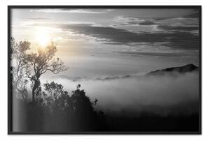 Poster: Alba - paesaggio scuro di alberi sullo sfondo di nuvole e fitta nebbia