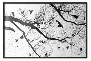 Poster: Incontro degli uccelli - albero e uccelli sui rami