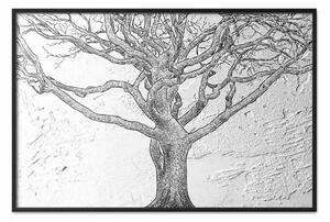 Poster: Vecchio albero - pianta su sfondo irregolare