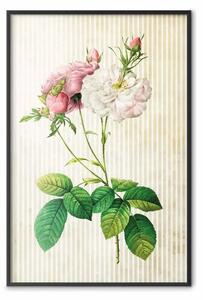 Poster: Chic floreale: composizione fiori su sfondo a strisce