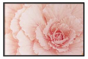 Poster: L'arte della delicatezza: petali di fiori rosa