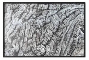 Poster: Perfezione strutturale: composizione in bianco e nero legno