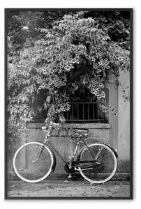 Poster: Bicicletta e fiori - paesaggio urbano due ruote strada