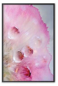 Poster: Gocce - astrazione multicolore con gocce d'acqua su acquerelli rosa