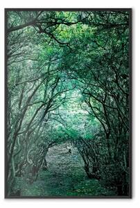 Poster: Pergola verde - paesaggio con passaggio tra foglie e rami di alberi