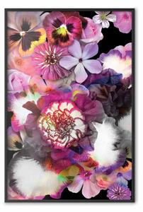 Poster: Armonia di colori - fiori vari su sfondo nero