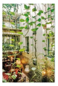 Quadro contemporaneo Cracovia: caffè dell'edera verticale