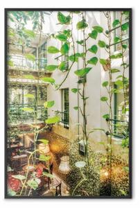 Poster: Cracovia: caffè con edera - foglie e architettura