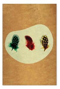 Quadro Tre piume colorate - elemento della natura su uno sfondo d'epoca