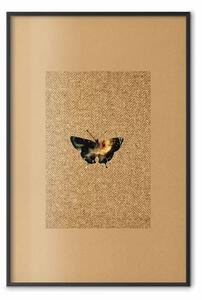 Poster: Farfalla collezione - autunno marrone con insetto