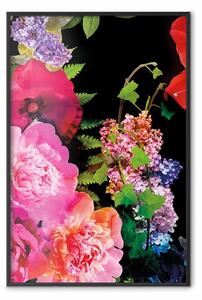 Poster: Terra fiori - colorata vegetale su nero
