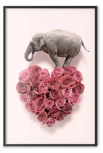 Poster: Elefante amore - cuore di rose e animale rosa