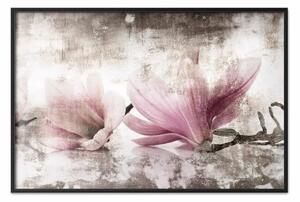 Poster: Magnolia memory - composizione botanica vintage con fiori luminosi