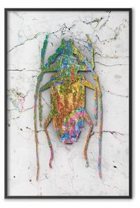 Poster: Mondo degli insetti - composizione colorata unica su sfondo in marmo