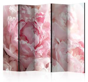 Paravento Peonie dolci II - petali rosa su sfondo di raggi solari