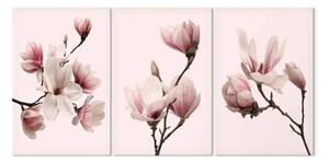 Quadro moderno Magnolie di primavera (3 pezzi)