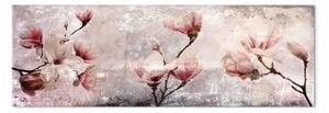 Quadro su tela Fascino della magnolia stretto