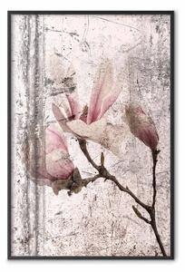 Poster: Magnolia squisita - composizione vegetale con fiori in stile vintage