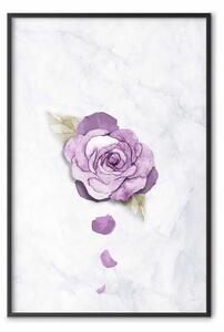 Poster: Fine primavera - fiore viola su marmo