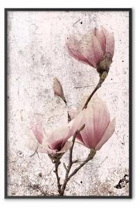 Poster: Magnolia matura - composizione vintage con fiori su sfondo pastello