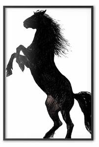 Poster: Danza cavallo - silhouette di destriero in piedi in b/n