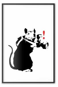 Poster: Topo fotografo - graffiti in bianco e nero in stile Banksy con animale