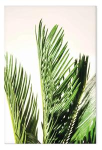 Quadro moderno Tre foglie di palma - le foglie di un albero tropicale che si muovono nel vento su uno sfondo beige