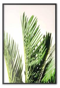 Poster: Dettaglio vegetale - botanica con foglie su sfondo chiaro
