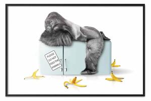 Poster: Gorilla affamato - composizione divertente con scimmia e banana
