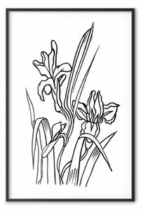 Poster: Iris innamorati - lineart con fiori primaverili
