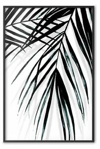 Poster: Relax di palma - foglie tropicali in b/n