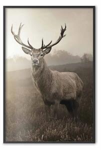 Poster: Cervo in seppia - paesaggio autunnale con animale tra l'erba dei campi