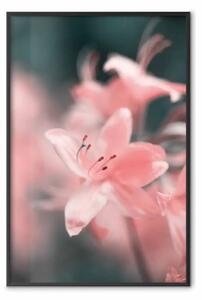 Poster: Fiori pastello