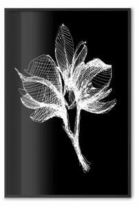 Poster: Fiore notturno - composizione b/n con motivo floreale