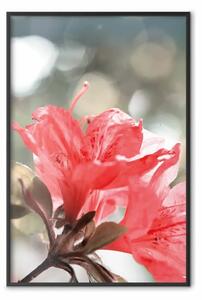 Poster: Fiori rossi - composizione botanica con pianta dal colore intenso