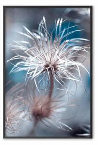 Poster: Pianta nei blu - composizione con fiori su sfondo dai toni freddi