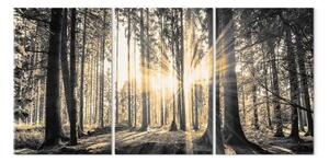 Quadro Sole nella foresta (3 pezzi)