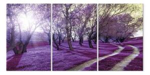 Quadro su tela Vicolo viola - paesaggio della foresta nella luce della lavanda