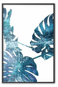 Poster: Monstera smeraldo - astratte foglie blu su sfondo bianco