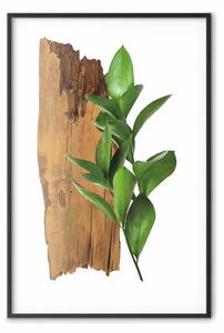 Poster: Natura affascinante - pianta e pezzo di legno su sfondo bianco