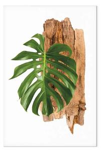 Quadro moderno Segni zodiacali e piante: ccorpione minimalista, composizione botanica
